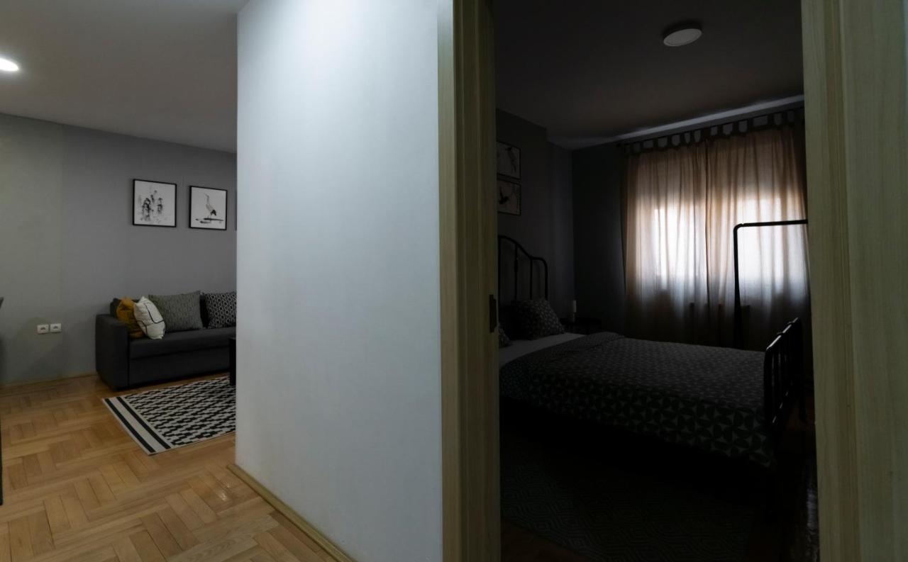 Central Fenix Apartment - Free Private Parking-Fast Wi-Fi Nowy Sad Zewnętrze zdjęcie