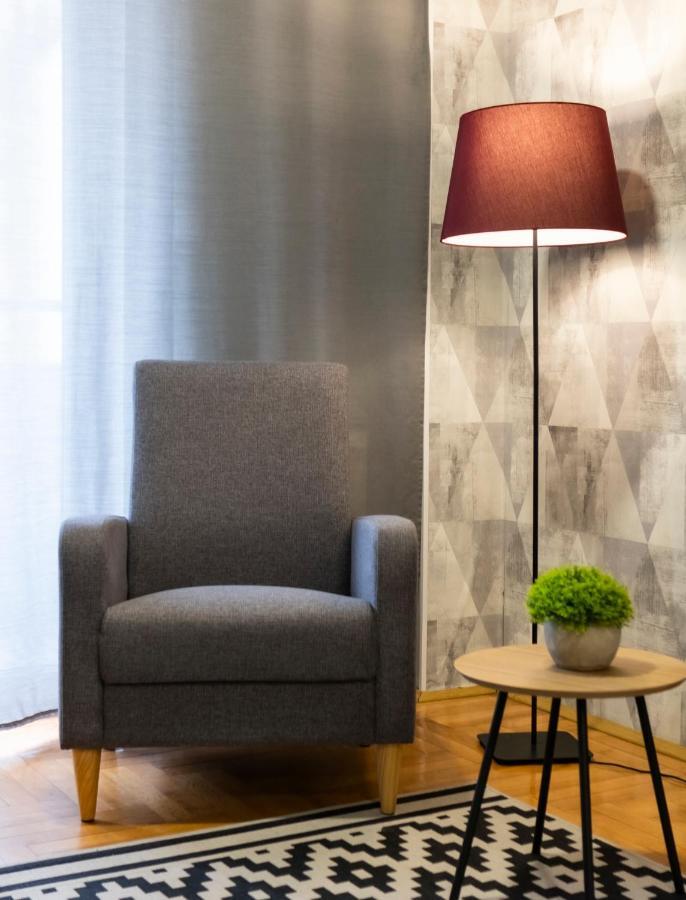 Central Fenix Apartment - Free Private Parking-Fast Wi-Fi Nowy Sad Zewnętrze zdjęcie
